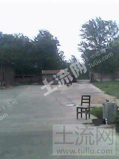 济宁市汶上县次丘镇45亩商业用地转让-济宁-汶