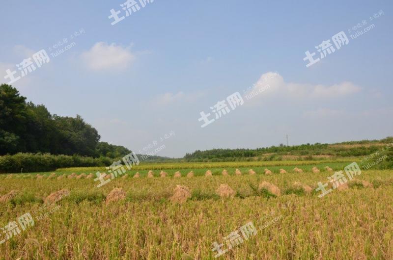 【农业生态旅游用地政策】