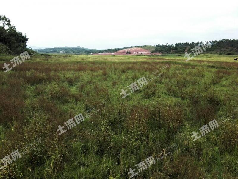 广东河源东源县顺天镇890亩水田合作-河源-东