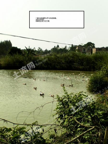 三塘种养场地招租,共20块场地上百亩-南宁-兴宁