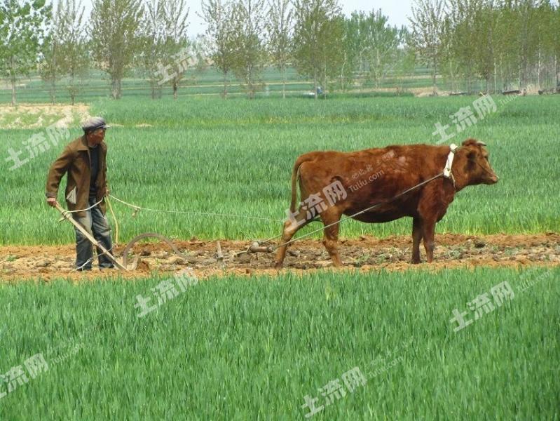 赣榆区塔山水库旁中景恒基生态园内6000多亩