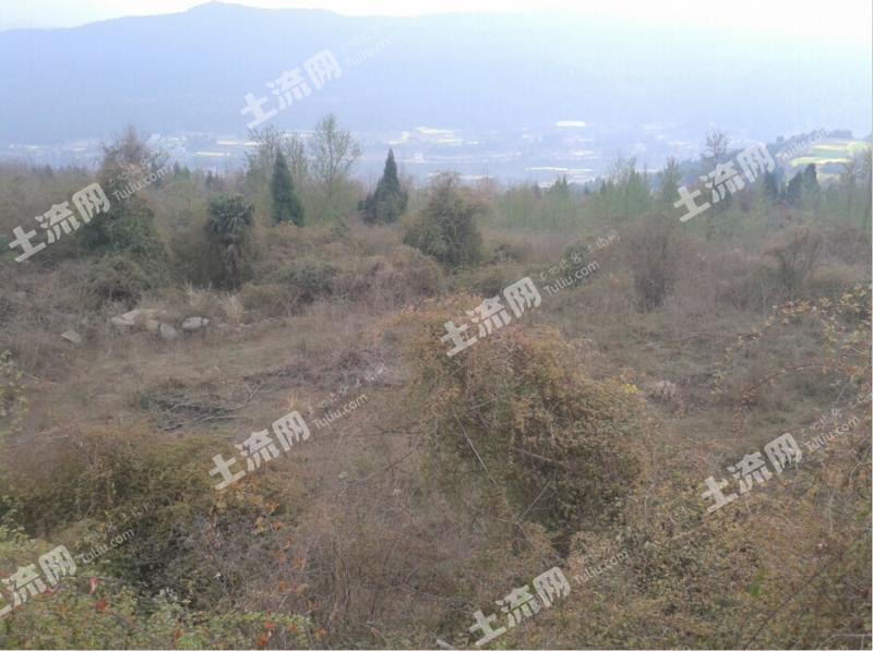 绵阳梓潼县108国道附近600亩平坦荒地转让-绵