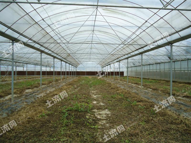 美森农场土地寻求投资人合作-绵阳-游仙区 - 四