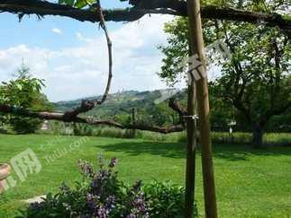 智利 大面积土地 出售 Chile real estate land 65