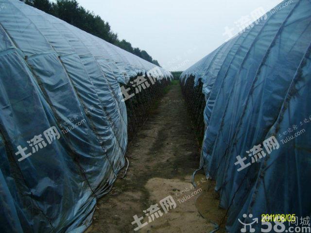 出售哈尔滨双城市兰陵镇土地-哈尔滨-双城区 -