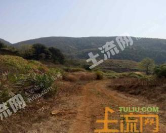 乐安铺苗族侗族乡_2018年乐安旅游收入(3)