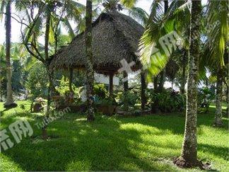 哥斯达黎加 地理位置优越的农场 PROP-16513