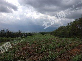 哥斯达黎加 地理位置优越的农场 PROP-16513