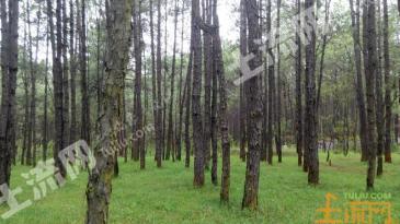 四川、贵州、云南农业产业化国家重点龙头企业