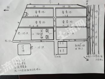              敦煌葡萄园家庭农场