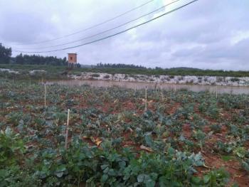 收入证明_昆明市土地出让收入(3)