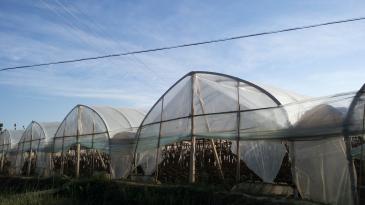 收入证明_昆明市土地出让收入(3)