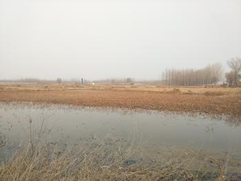 58c411ab6ea63_sml.jpg