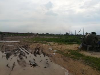 湖北可以种荔枝、蓝莓、核桃、苹果、菠萝蜜、