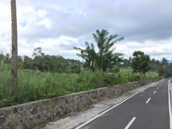 国家森林城市人均公园_人均占有森林面积