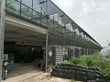 2017年昆山市蓬朗旧城区改建原粮管所职工住