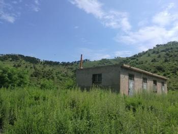 山东省农业项目补贴最新消息及政策解读 - 土流