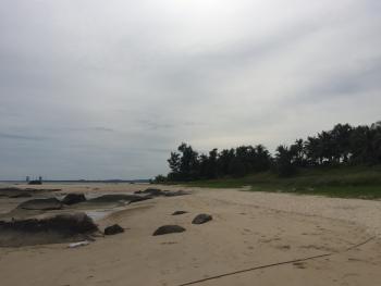 海南省落户新政:关于引进人才落户实施办法琼