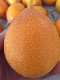 江西省家庭农场扶持政策及发展的情况 - 土流网