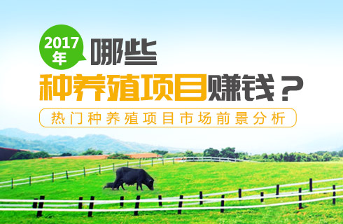 2017年哪些种养殖项目赚钱？热门种养殖项目市场前景分析