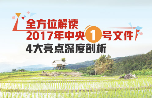 全方位解读2017年中央一号文件：4大亮点深度剖析