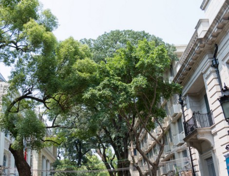 2016年上海市房屋动迁政策解读