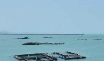 世界上主要的海洋灾害有哪些?原因是什么?