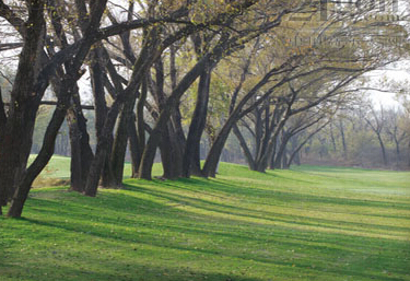 江西省林业产业发展前景及专项资金管理暂行办