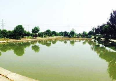 怎样做好一个农家乐小老板 经营好农家乐?