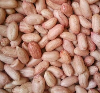 花生适合在什么土壤中生长?什么时候种植最好