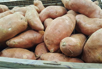 2017年红薯种什么品种能赚钱?