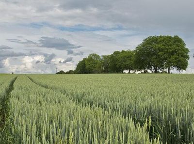 国家对农民工的政策有哪些?2017农民工享受的