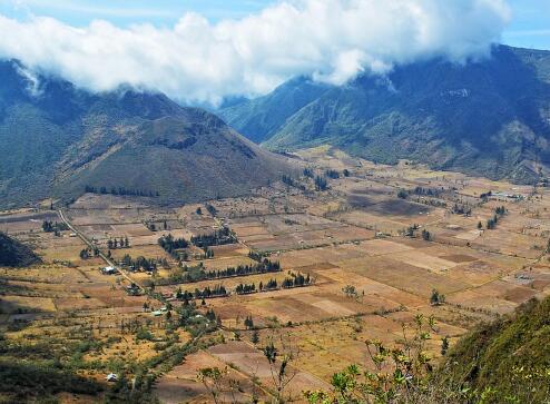 注意啦!农村这五种情况土地流转合同无效