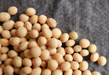 2018年大豆补贴政策有调整吗 大豆每亩补贴多