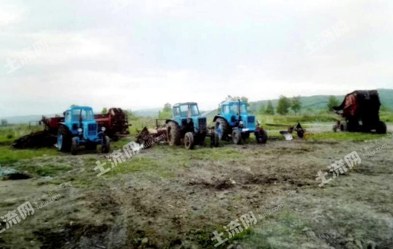 莓什么时候种植最好?草莓合适什么土壤种植?