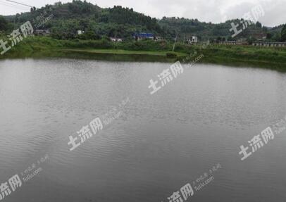 现代订单农业的基本特征和运作模式