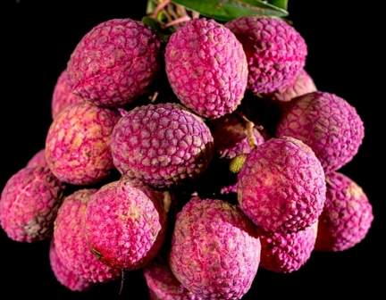 2017年海南荔枝什么时候上市?如何挑选?价格