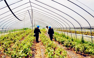 农业用电价格多少钱一度?国家有什么政策?怎