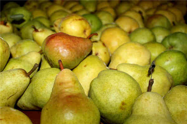 香梨是什么季节的水果?多少钱一斤?和雪梨有