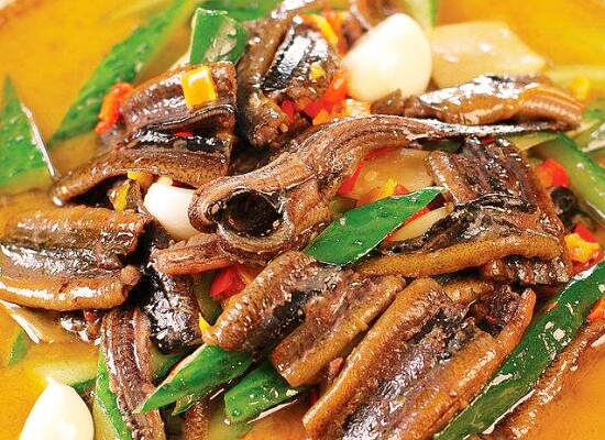 2018年养黄鳝(泥鳅)赚钱吗?黄鳝养殖成本及利