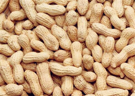 现在花生价格多少钱一斤?2018年花生价格走势