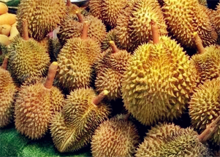 水果之王榴莲2018年价格多少钱一斤?一年四