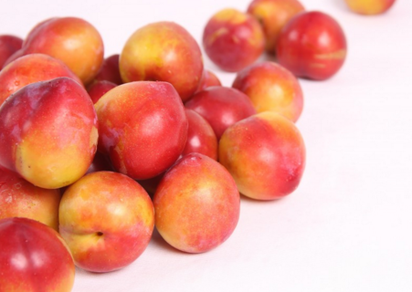 红梅杏价格多少钱一斤?如何嫁接?