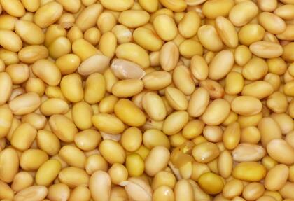 2018大豆补贴新政策:每亩补贴多少钱?