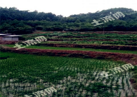 2018年农村土地征收对象及补偿分配方式