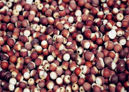 现在芡实多少钱一斤?哪里有卖的?哪个产地的