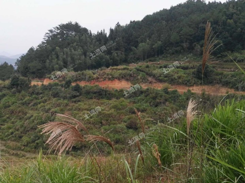 通知:2018年宅基地确权后,超出面积也可以确权