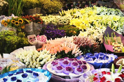 批发鲜花的价格多少钱一朵?市场进货渠道有哪