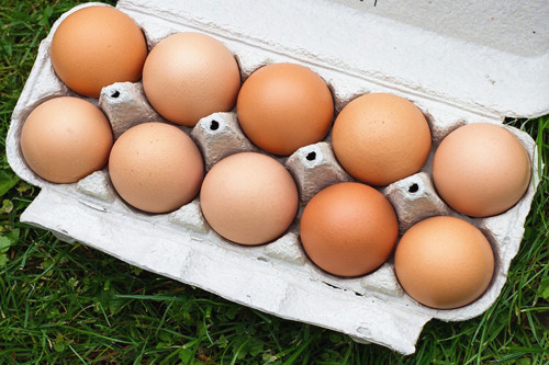 农村散养蛋鸡的利润与成本计算(以500只为例)