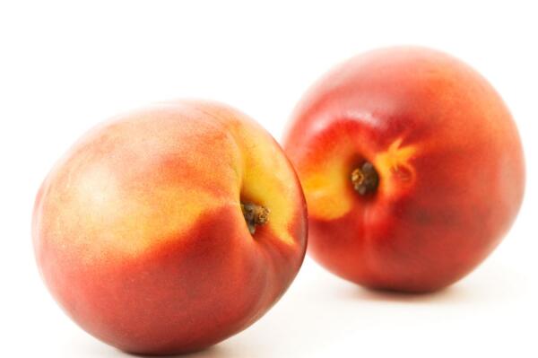 落叶小乔木油桃的热量有多高?一般几月份成熟